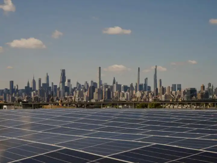 Wildflower Studios: The production company bringing Hollywood-style filmmaking to New York